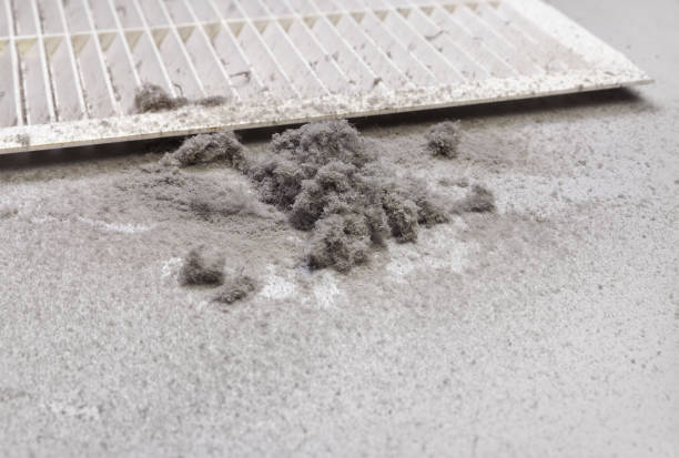 Best Duct Cleaning for Homes  in Pismo Beach, CA